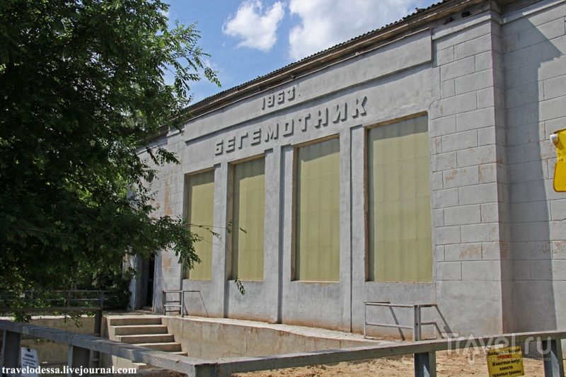 Харьковский зоопарк / Фото с Украины