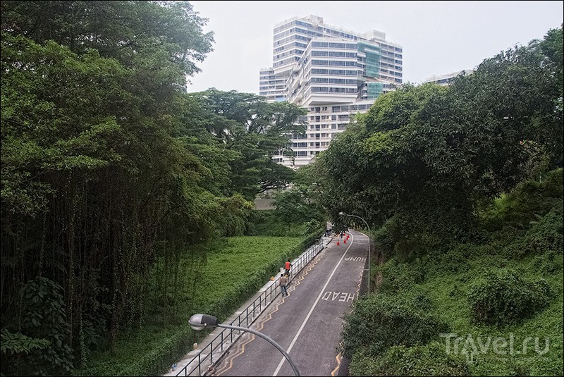 Прогулки по Сингапуру: Southern Ridges Walk / Сингапур