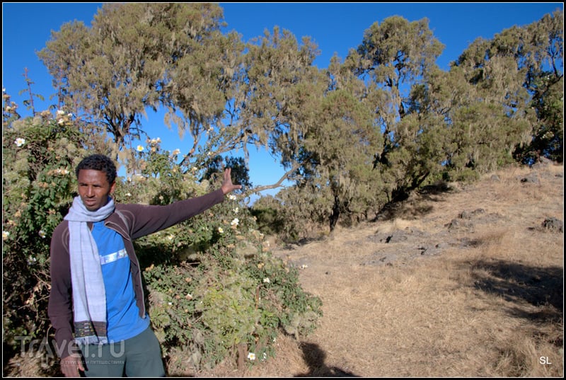 Simien Mountains Nationaal Park.  /   