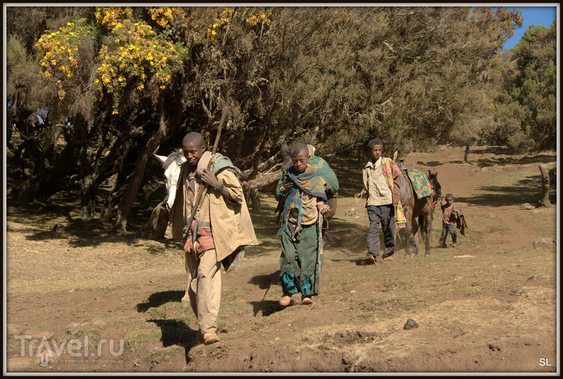 Simien Mountains Nationaal Park.  /   