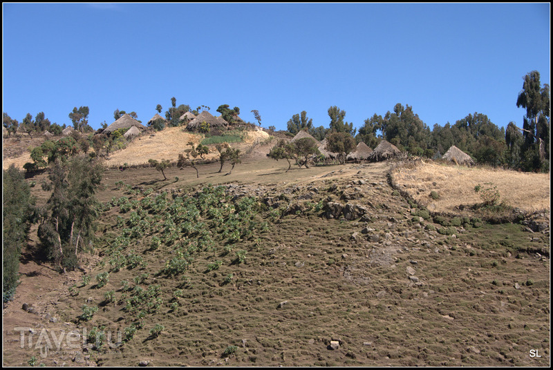 Simien Mountains Nationaal Park.  /   