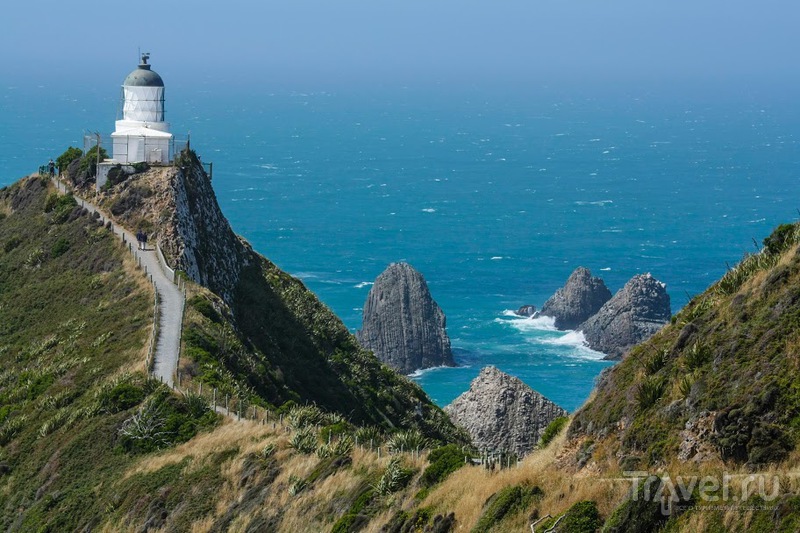 Маяк Nugget Point / Фото из Новой Зеландии