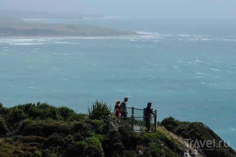 Nugget point и новозеландский маяк / Фото из Новой Зеландии