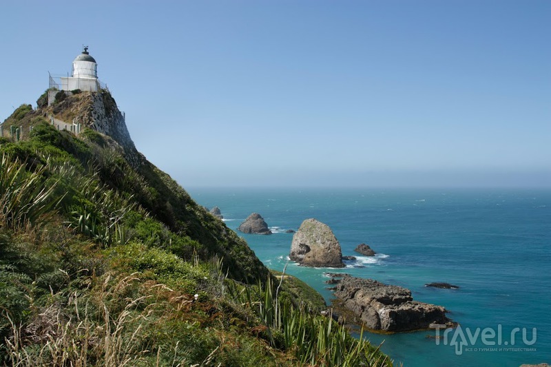Nugget point и новозеландский маяк / Фото из Новой Зеландии