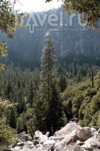 Yosemite National Park. Дикая природа со всеми удобствами / США