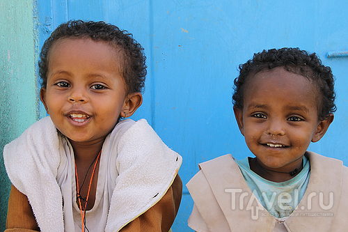Дикий портрет рифтовой долины. Тиграй / Фото из Эфиопии
