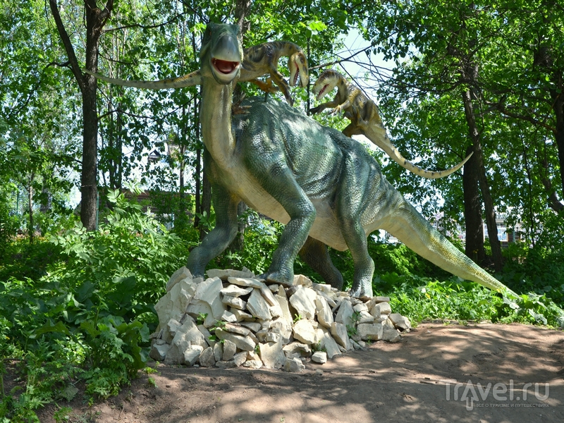 Путешествие в Киров: динозавры, игрушки и Кикимора Вятская / Фото из России