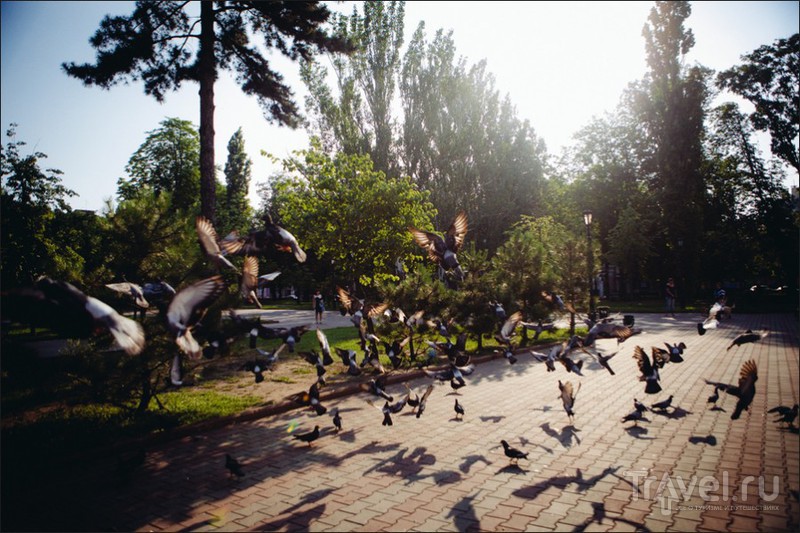 Три дня в Одессе / Фото с Украины