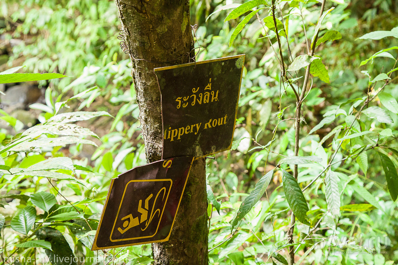 Поход в национальный парк Khao Sok / Таиланд