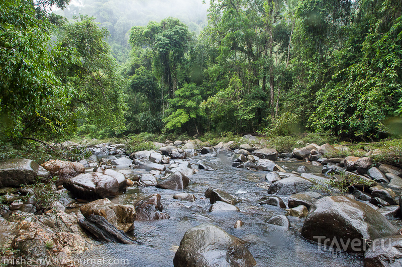Поход в национальный парк Khao Sok / Таиланд