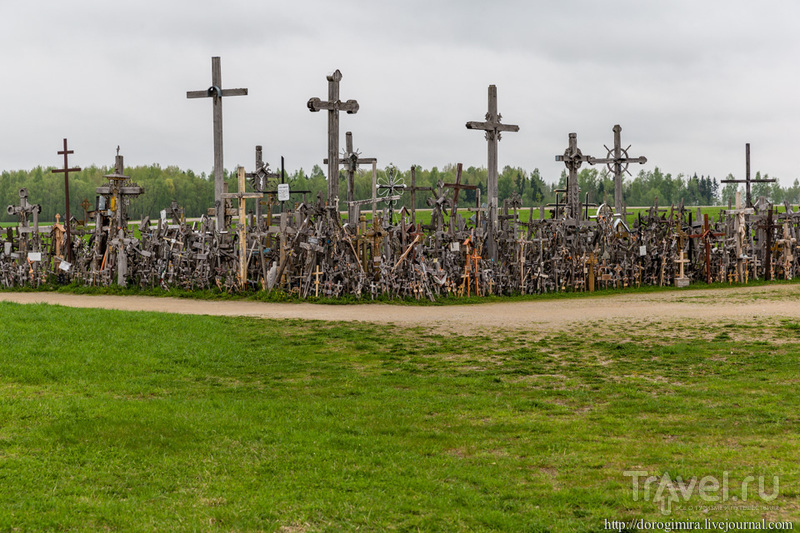 Гора Крестов близ Шяуляя / Фото из Литвы