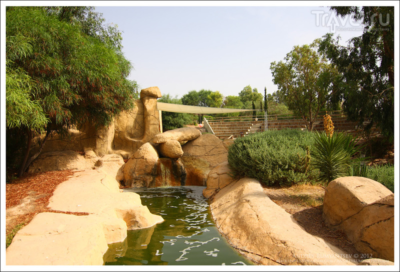 Зоопарк Фригия (Friguia Animal Park) / Фото из Туниса