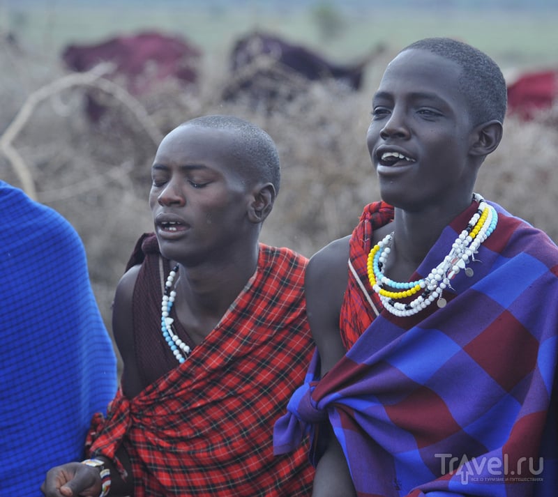 Масаи. Танзания / Фото из Танзании