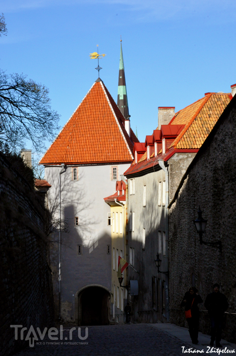 Пора в Эстонию. Таллин / Фото из Эстонии