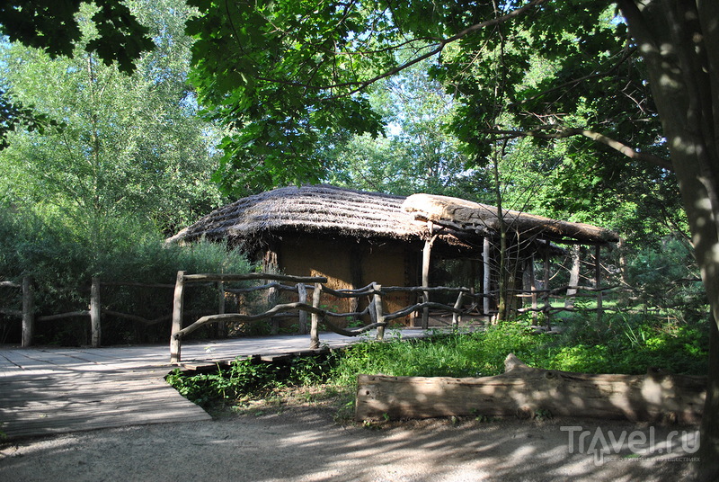 Пражский зоопарк. Зеленый рай на 45 гектарах / Чехия