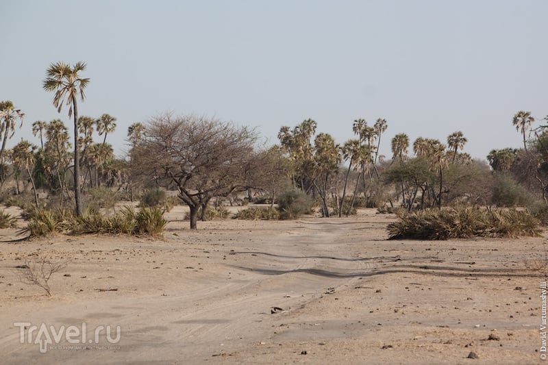 Федеральная трасса Север-Юг, Чад / Фото из Чада