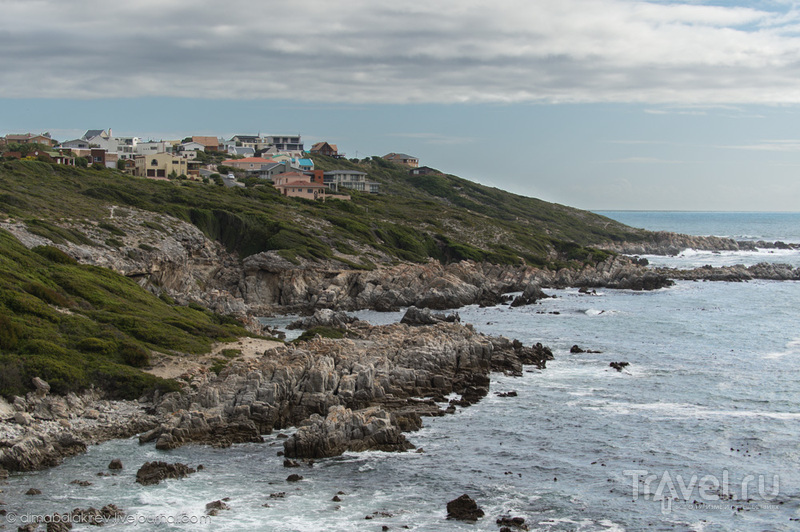  . Grootbos Private Nature Reserve / 