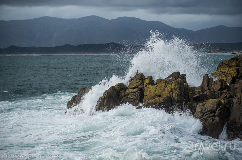  . Grootbos Private Nature Reserve / 