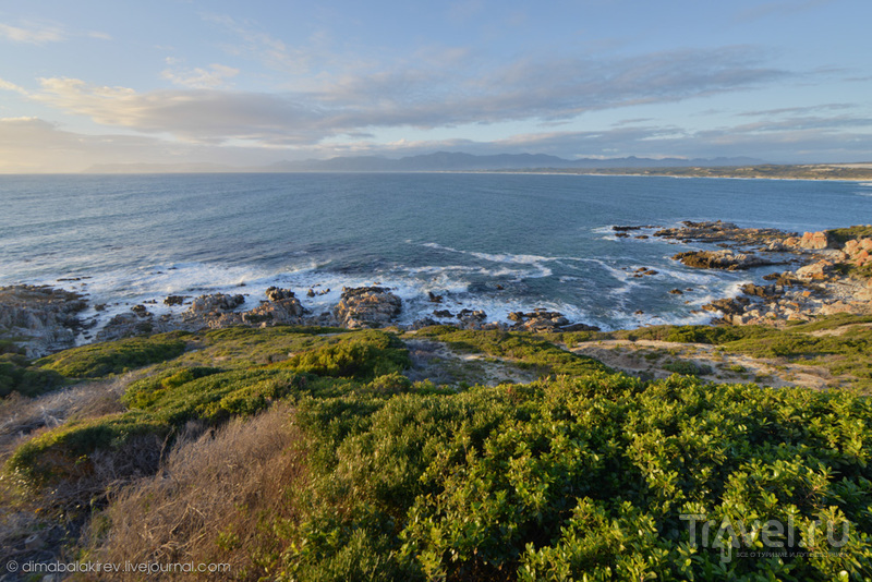  . Grootbos Private Nature Reserve / 