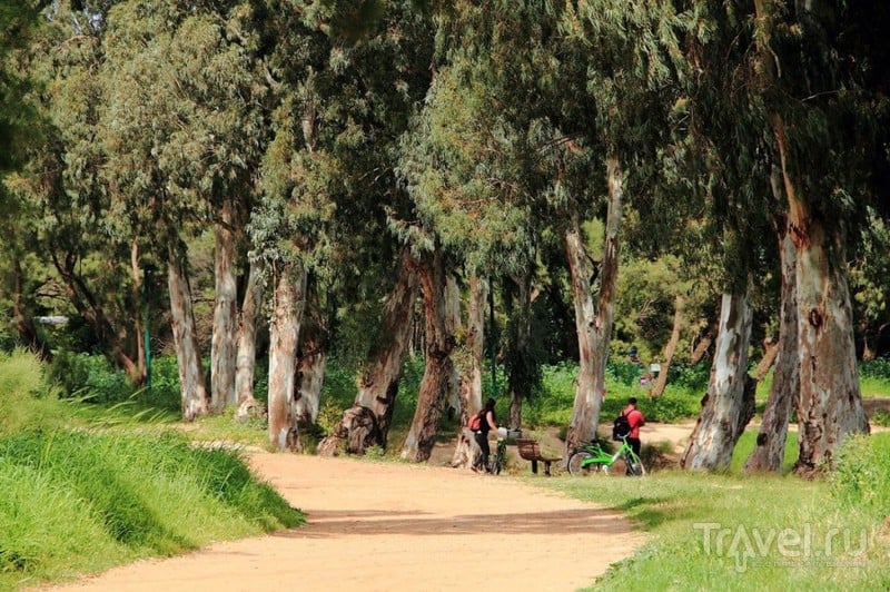 Тель-Авив - парк отдыха х-Яркон / Израиль