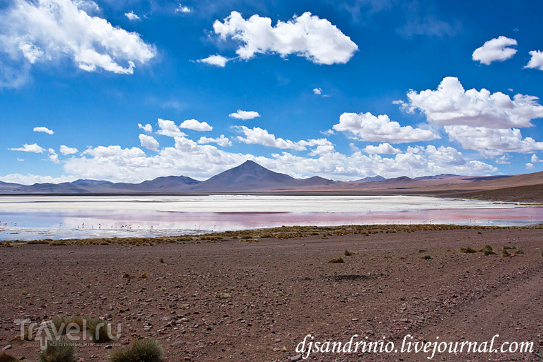 Solar Lagunas, Dali Rock Desert, Arbol de Piedro, Rock Valley / Фото из Боливии
