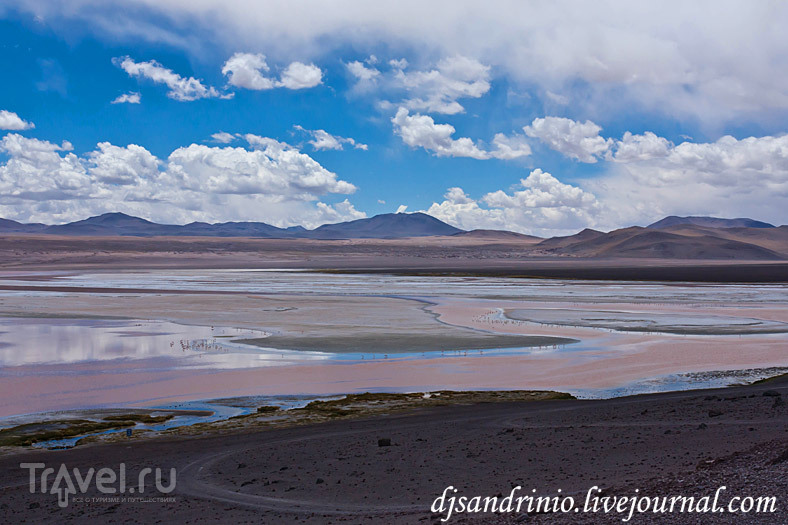 Solar Lagunas, Dali Rock Desert, Arbol de Piedro, Rock Valley / Фото из Боливии