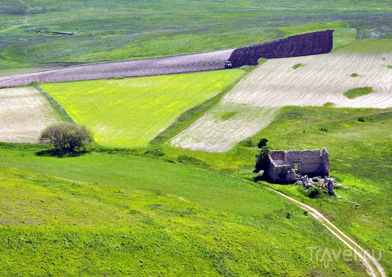La Fioritura dell'altopiano di Castelluccio di Norcia / 