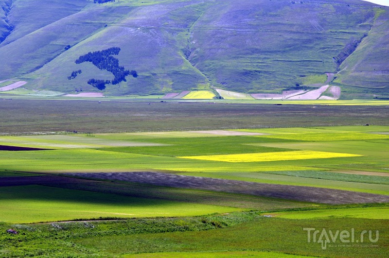 La Fioritura dell'altopiano di Castelluccio di Norcia / 