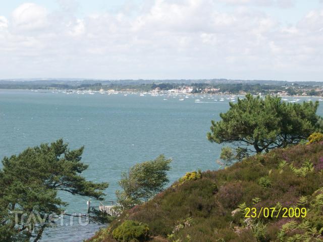    (Brownsea Island) / 