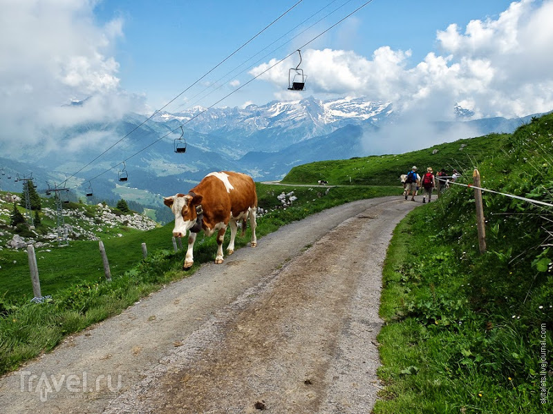 Скалолазание для чайников в швейцарских Альпах / Швейцария