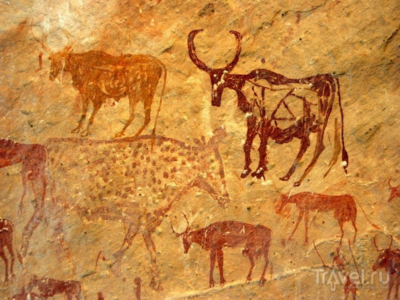 Петроглифы с изображением животных в горном массиве Адрар-Акакус, Ливия / Ливия