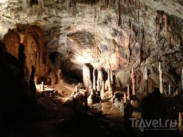 Словения туристическая и Адриатическая. Постойнская пещера и Пиран / Словения