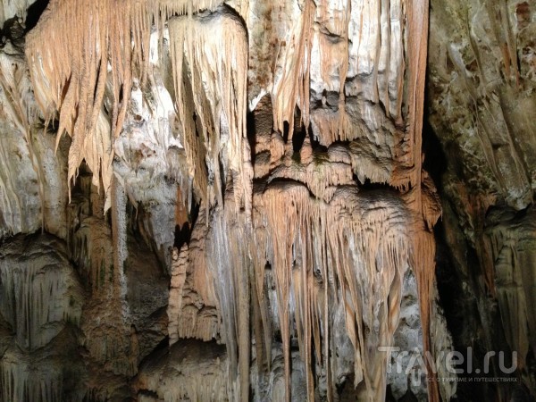 Словения туристическая и Адриатическая. Постойнская пещера и Пиран / Словения