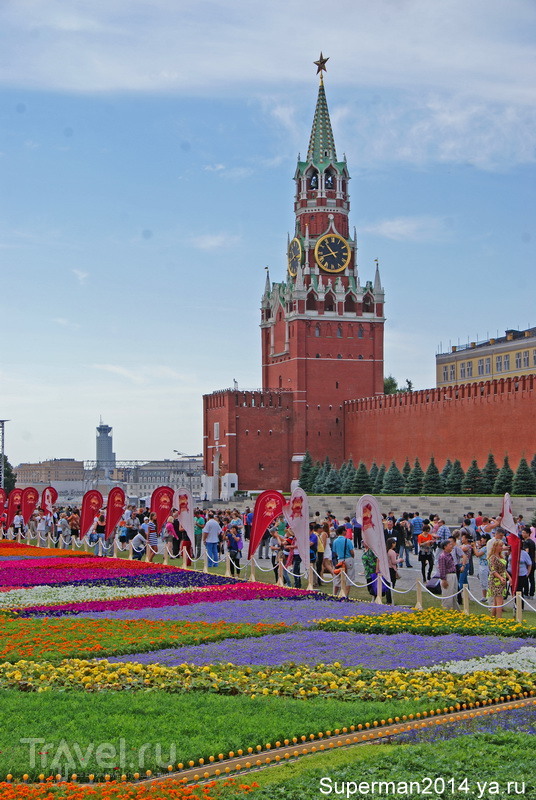 Цветочный ковёр на Красной площади / Россия