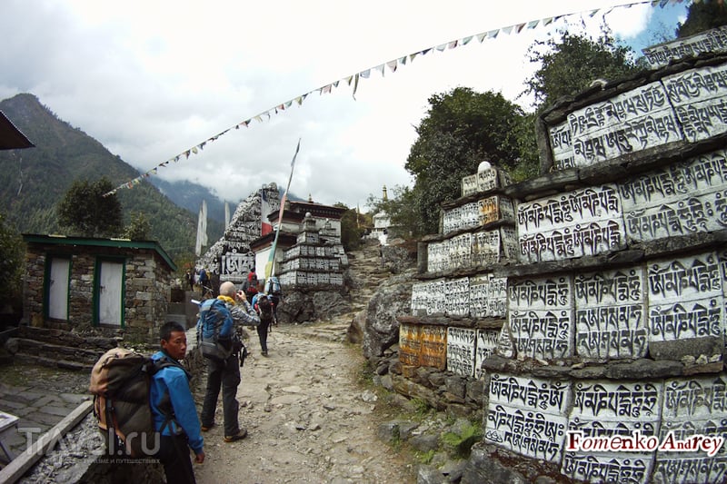 Восхождение к базовому лагерю Эвереста. Непал / Фото из Непала