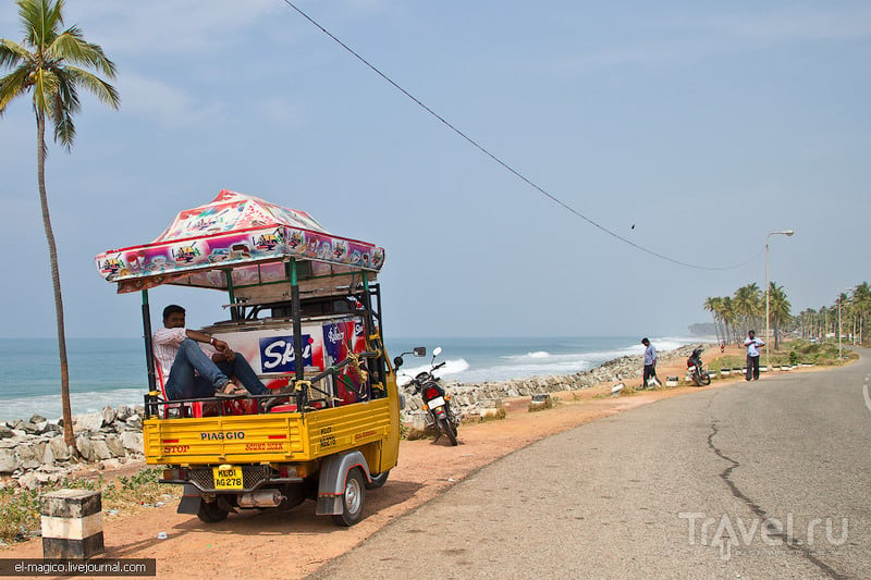 Дикий пляж Каппил, как сбивают кокосы без подручных предметов и волшебные закаты / Фото из Индии