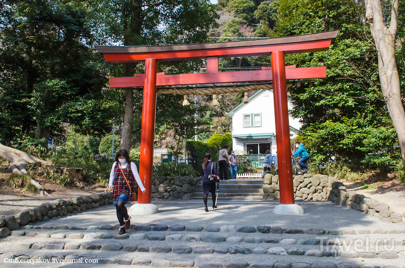 Храм Цуругаока - Хатиман - Гу в Камакуре, Япония / Фото из Японии