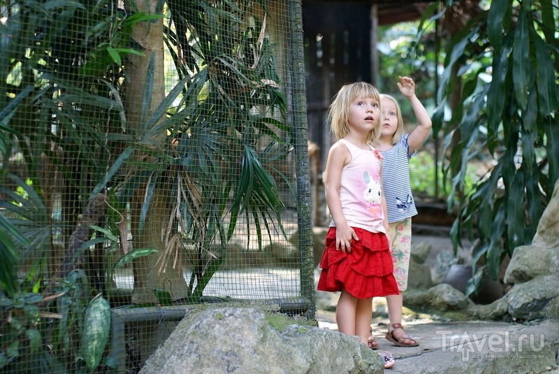 Зоопарк в Чианг Мае / Таиланд