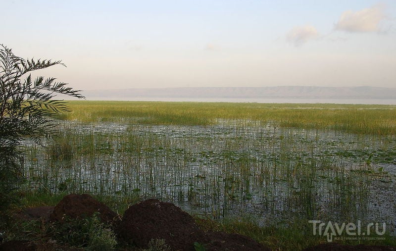 Озеро Аваса, Эфиопия / Фото из Эфиопии