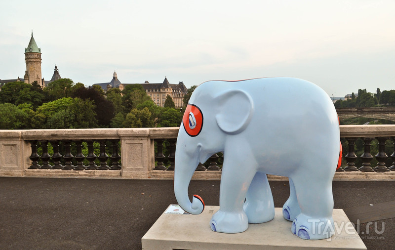 Купи слона! / Люксембург