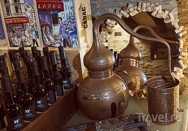 Винодельня Sa Perafita на Кап Креус / Фото из Испании