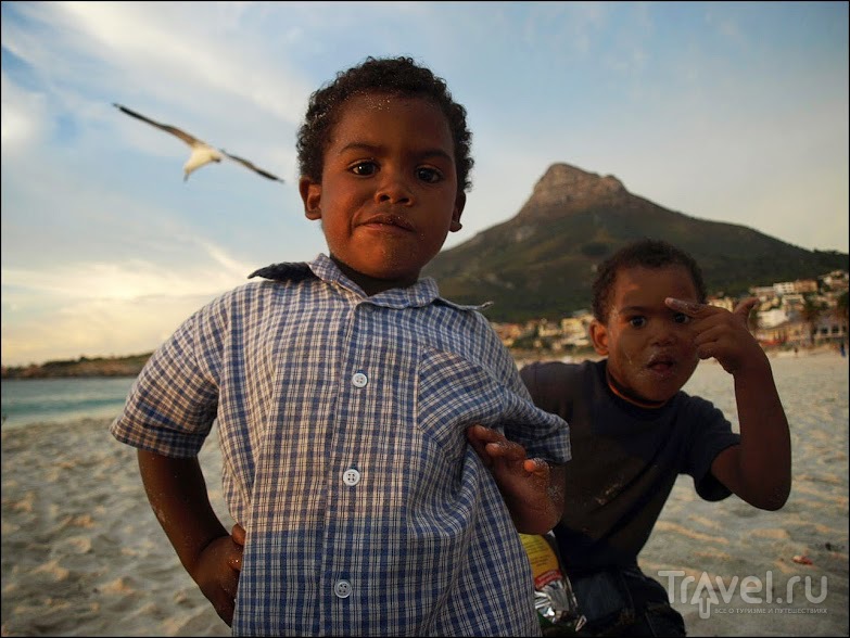 ЮАР: Найсна, Кейптаун и мыс Игольный / Фото из ЮАР