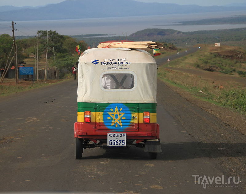 Дикий портрет Рифтовой долины. Аддис-Абеба / Фото из Эфиопии