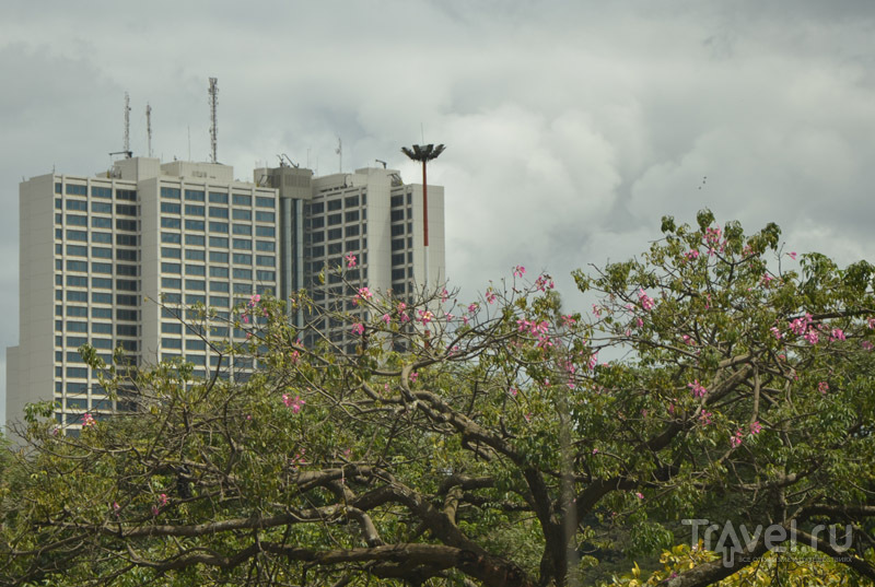 Парк Uhuru в Найроби / Фото из Кении