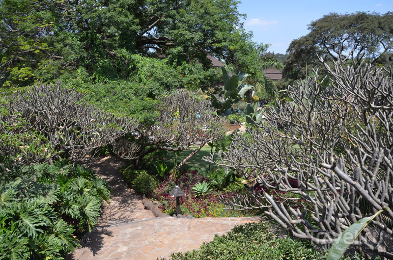 Парк в Safari Park Hotel / Фото из Кении