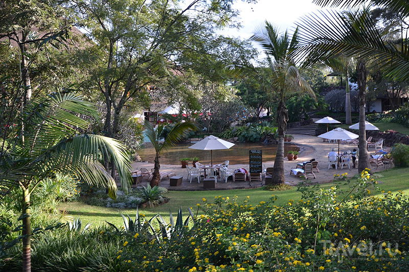 Ресторан у бассейна, Safari Park Hotel / Фото из Кении