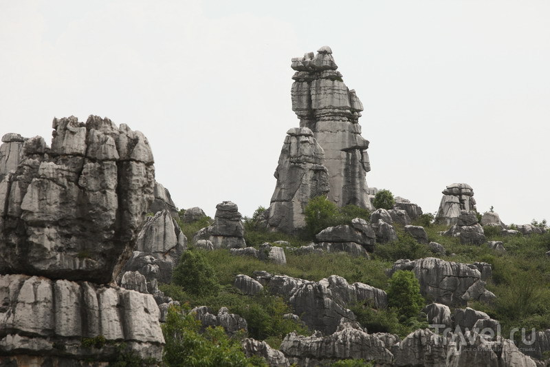 Китай, каменный лес в Шилине / Китай