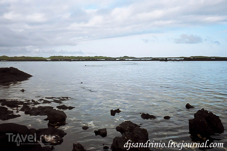 The Galápagos, Isabela, The first snorkeling / Эквадор
