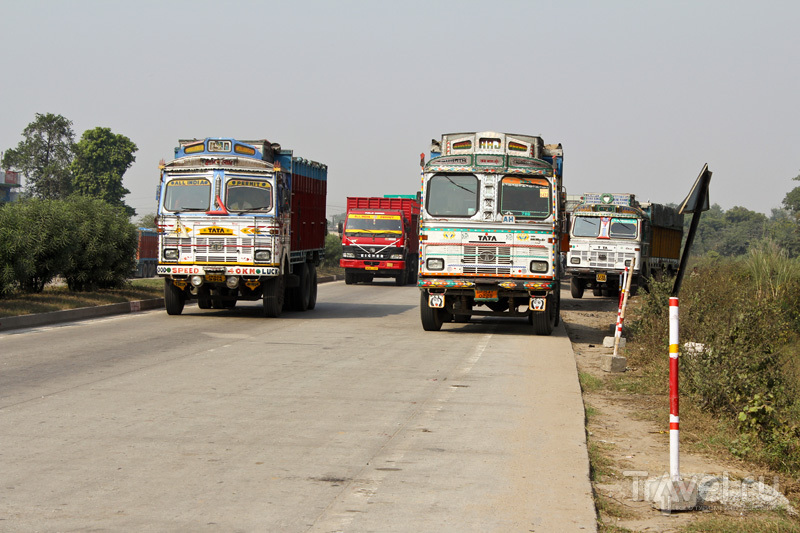 На дороге в Индии / Фото из Индии
