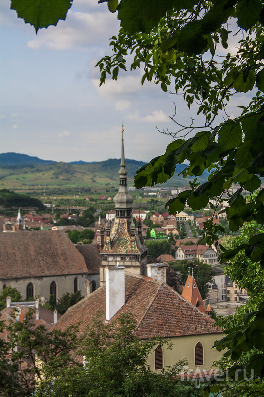 Трансильвания трип. Сигишоара / Фото из Румынии